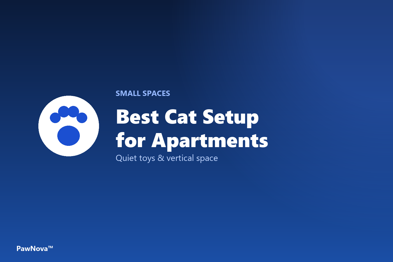 Best cat setup for apartments cover