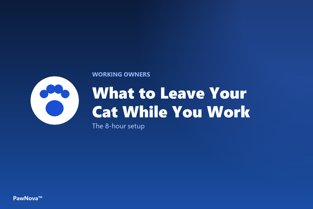 What to leave your cat while you work cover