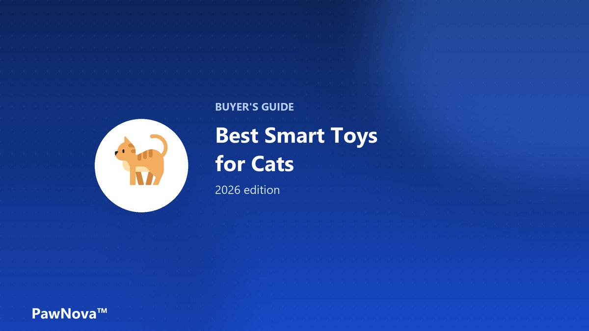 Best smart self-rolling toys for cats — 2026 buyer's guide