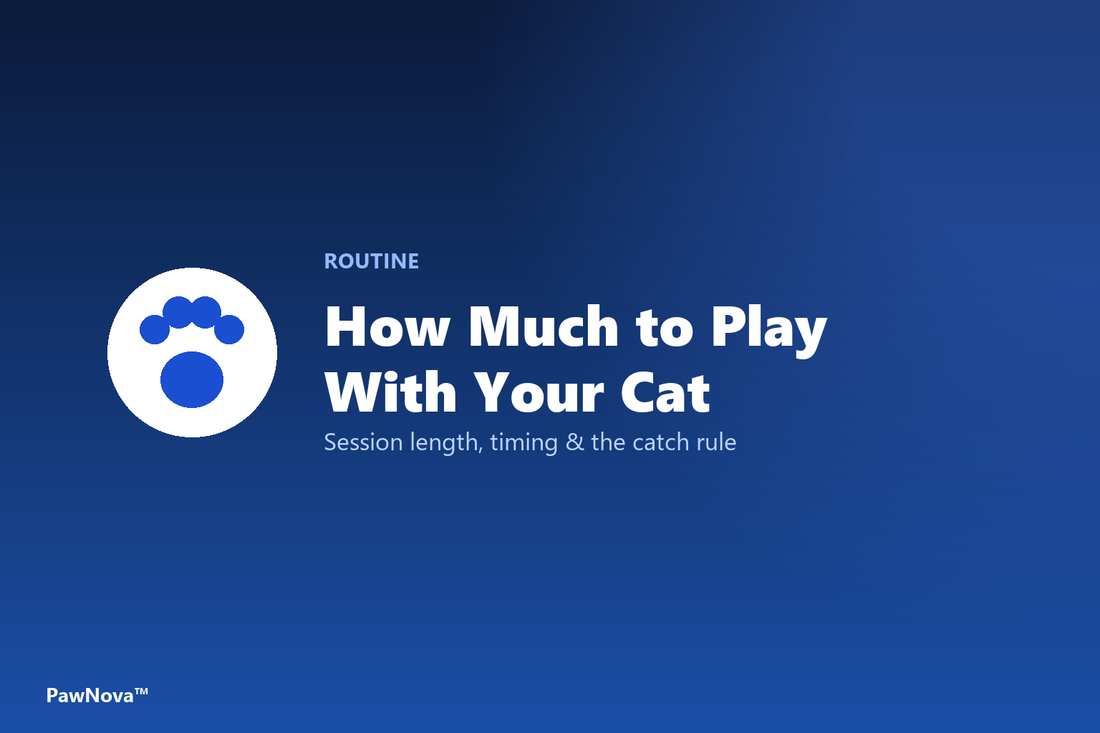 How much to play with your cat each day cover