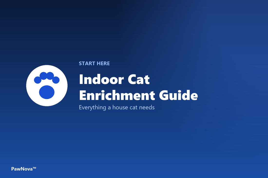 Indoor cat enrichment guide cover