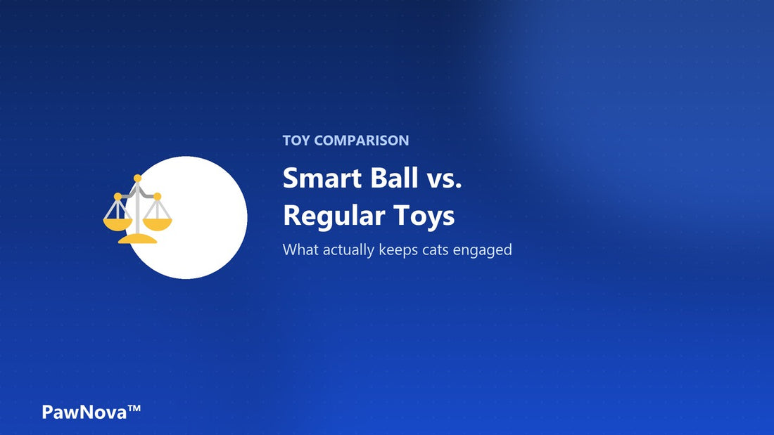 Smart ball vs regular cat toys comparison — what keeps cats engaged